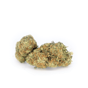Blue Cheese Indica Marijuana Strain