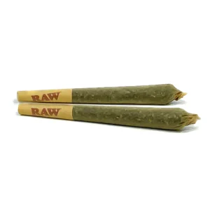 Cannabis Cookies Kush (AAA) Pre-rolled Joint