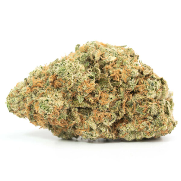 Chocolate Fondue Cannabis Strain