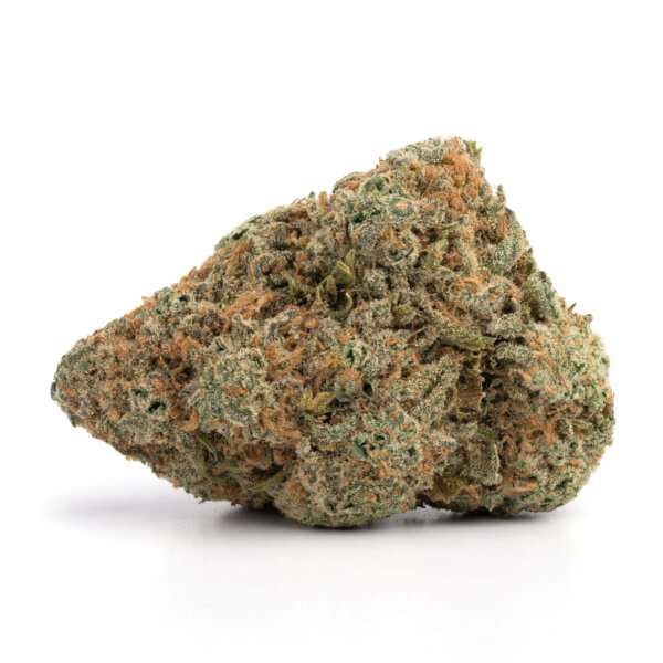 Chocolope Sativa Weed Strain