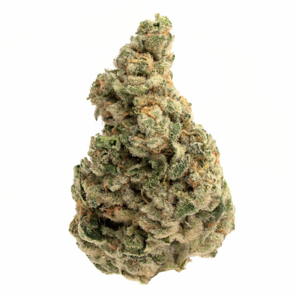 Florida Sunrise Cannabis Strain