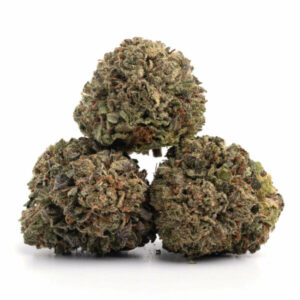 Garlic Breath Weed Strain