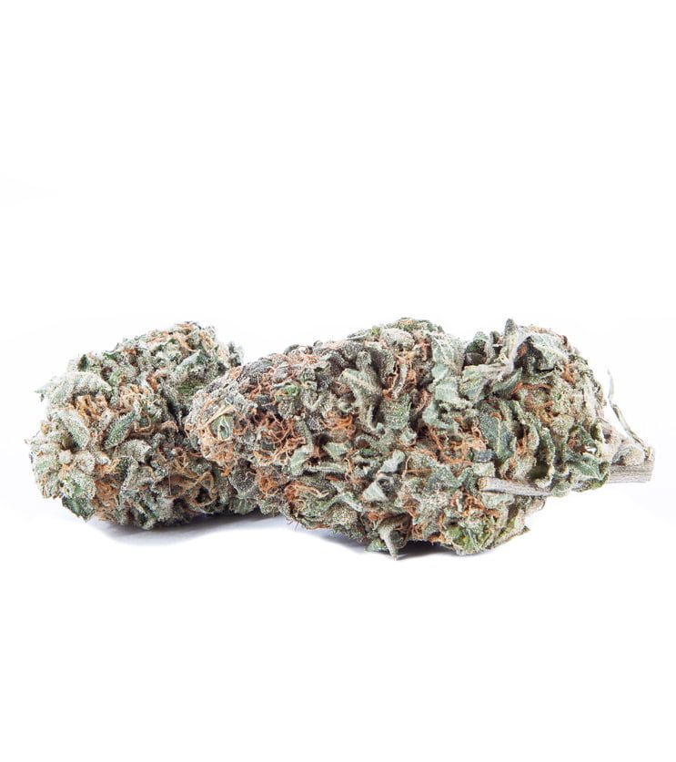 Gelato Hybrid Weed Strain