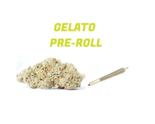 Gelato Strain Cannabis Pre-rolled Joint