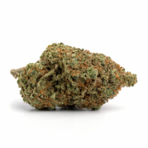 God Bud Marijuana Strain