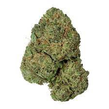 Great White Shark Marijuana Strain