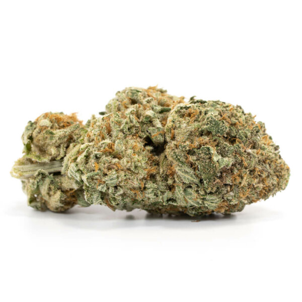Jack Diesel Weed Strain