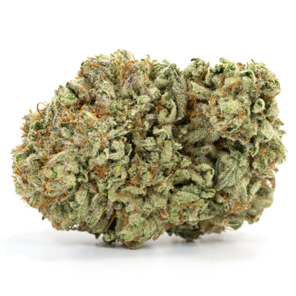 Jedi Indica Marijuana Strain