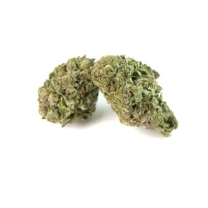 Master Kush Cannabis Strain