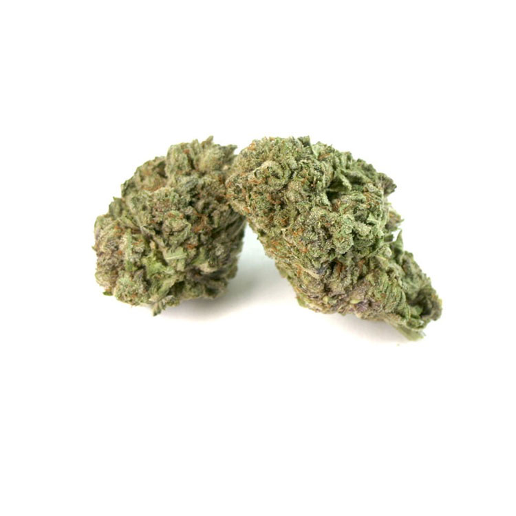 Master Kush Cannabis Strain