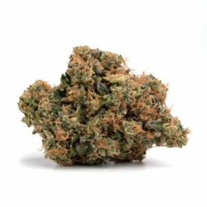 Moby Dick Marijuana Strain