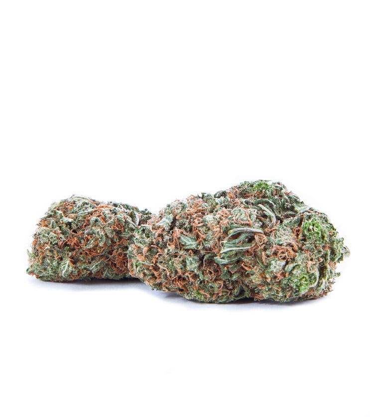 Nebula Hybrid Cannabis Strain