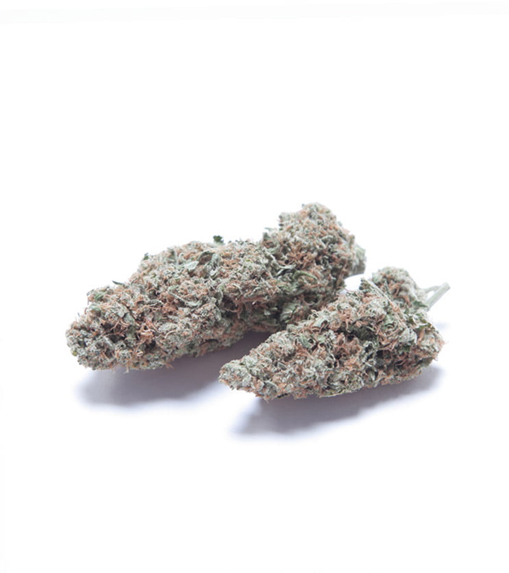 Northern Lights Indica Weed Strain