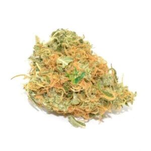 Organic Jack Herer Marijuana Strain