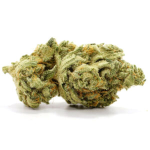 Original Glue Cannabis Strain