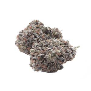 Purple Haze Hybrid Marijuana Strain
