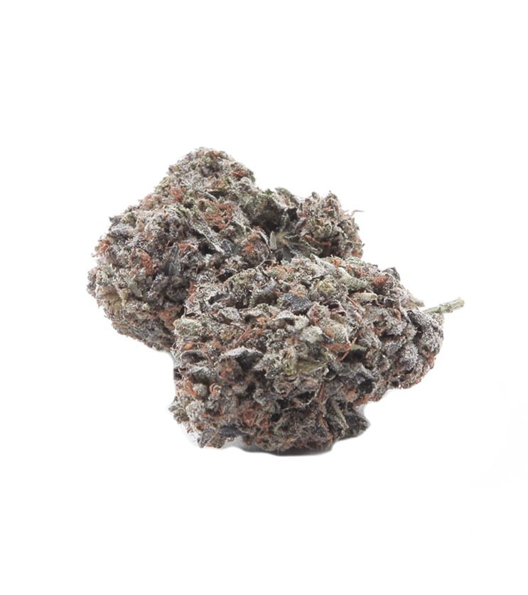 Purple Haze Hybrid Marijuana Strain