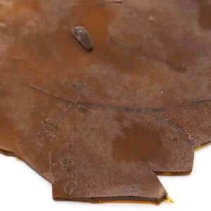 Purple Kush Weed Shatter Concentrate