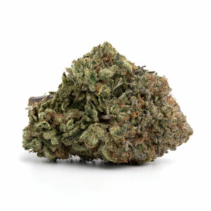 Race Fuel OG Marijuana Strain