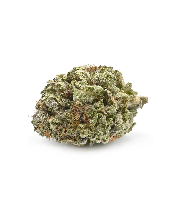 Rockstar Kush Weed Strain