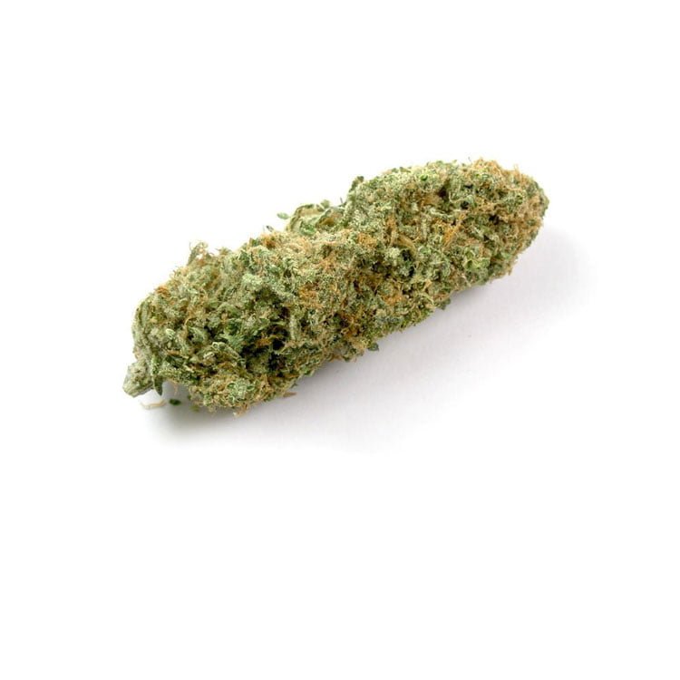 Strawberry Cough Weed Strain