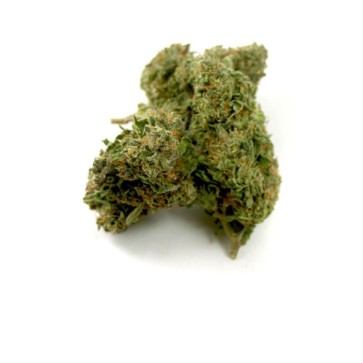 Trainwreck Cannabis Strain EU