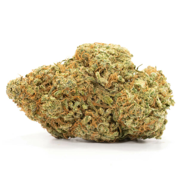 Treasure Island Weed Strain