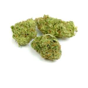 Violator Kush Marijuana Strain
