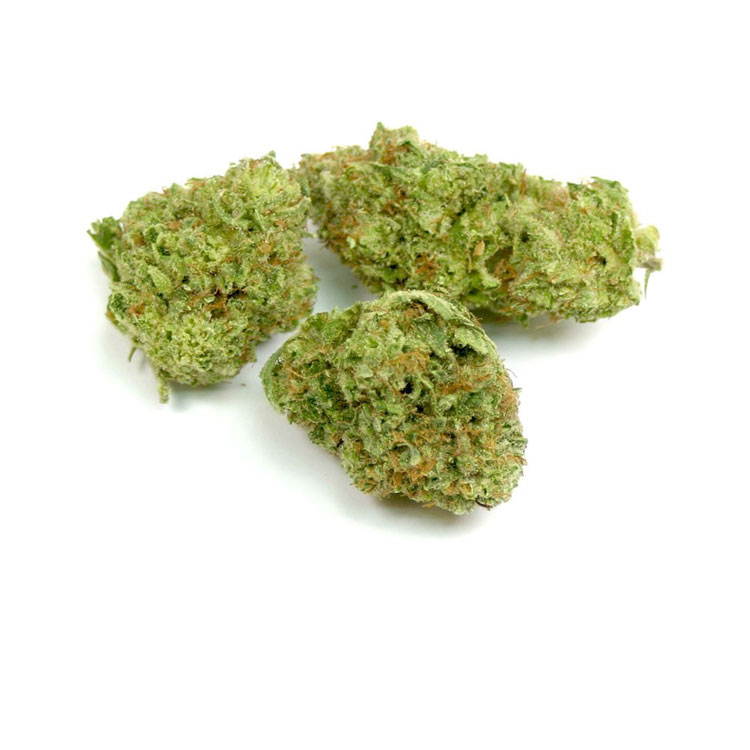 Violator Kush Marijuana Strain