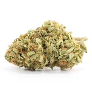Viper Sativa Weed Strain