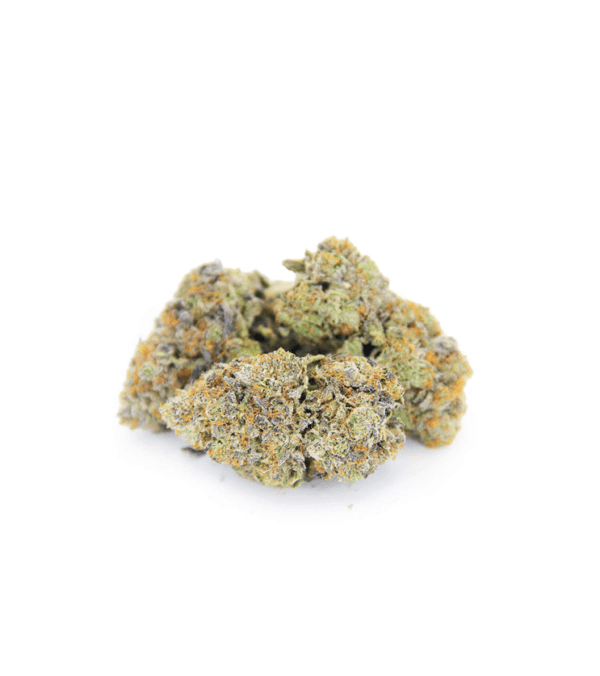 White Truffle Hybrid Weed Strain