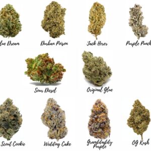 Buy Marijuana Strains Online Europe
